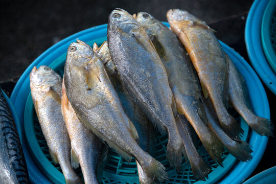 View of the yellow croakers on sale in the market