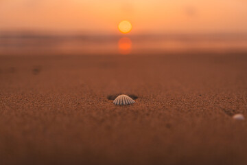 Sunset on the beach and orange sea waves