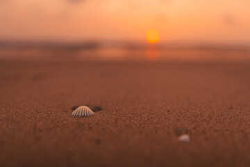 Sunset on the beach and orange sea waves