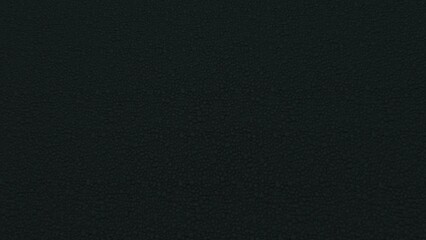 stone texture black for interior wall background or cover