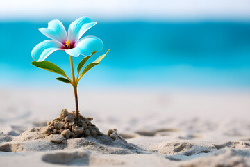 An image of flowers growing on a sandy beach with a turquoise hue