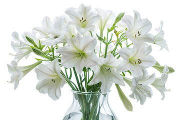 White Flowers in a Vase on Transparent Background.