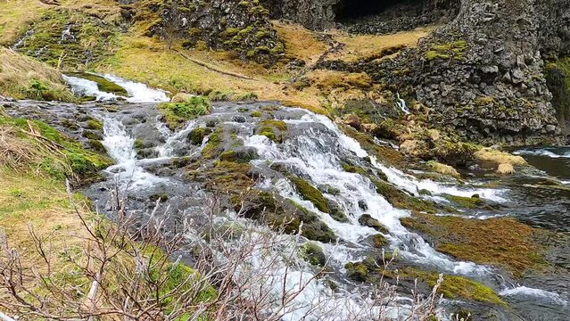 Gjain valley cascading stream and mossy basalt rocks in Iceland