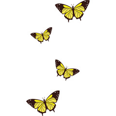 Flat Butterflies Flying Illustration