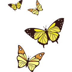 Flat Butterflies Flying Illustration