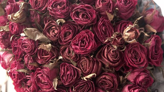 Dried roses, Valentine day concept.
