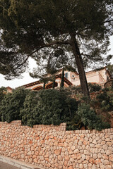 brick wall with tree