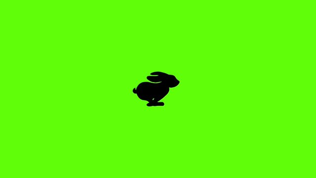Animation of bunny silhouette running across green screen background. Concept of animals, nature, and easter celebration.