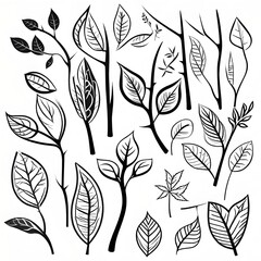 twig, leaf, tree, black and white vector style illustration in vector style