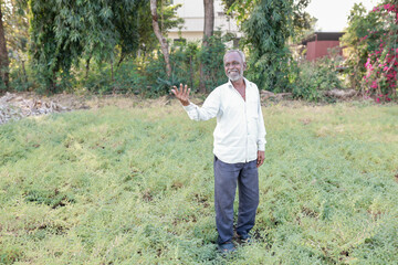 Fototapeta premium Indian chickpeas Farming , happy Indian poor farmer