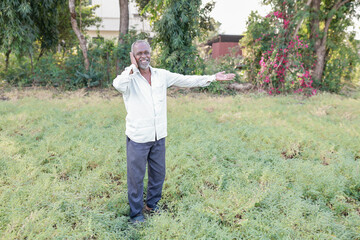 Fototapeta premium Indian chickpeas Farming , happy Indian poor farmer