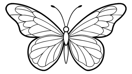 butterfly on white background, black and white butterfly.