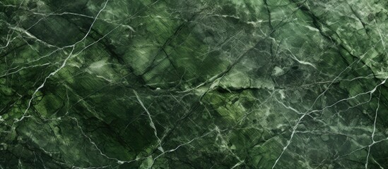 Fototapeta premium A close-up view of a textured green marble wall contrasting against a dark black background. The marble tiles exhibit a glossy finish,