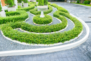 Classical English style garden with Green bushes circular labyrinth in spring garden,English country garden,English Village Cottage.