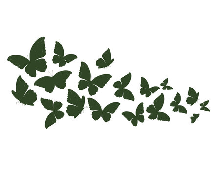 green leaves isolated on white background