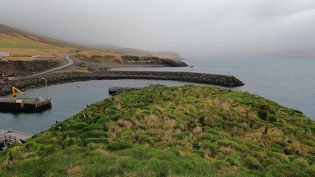 Hafnarholmi bird sanctuary and harbor in Borgarfjordur Eystri