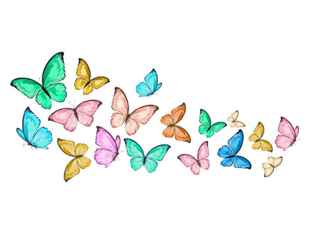 butterflies and flowers flock