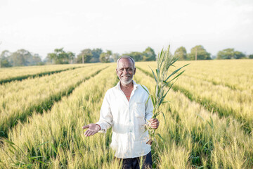 Indian farmer standing at wheat field, Happy farmer - obrazy, fototapety, plakaty