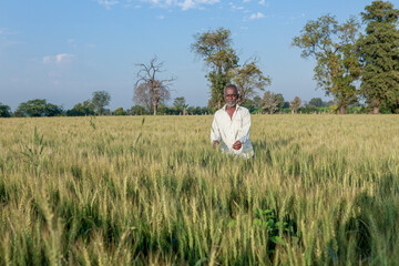 Naklejka na ściany i meble Indian farmer standing at wheat field, Happy farmer