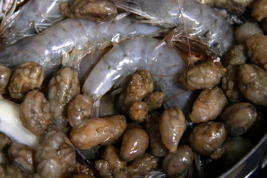 Food materials and ingredients for seafood stew in the pot