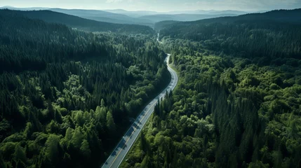 Tuinposter Aerial View: Serpentine Mountain Road Amid Lush Forest, Captured with Canon RF 50mm f/1.2L USM © Nazia