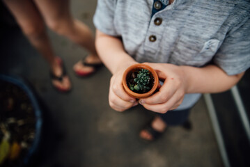 Close up detail shot of child holding potted plant.