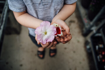 Detail view of flowers held by small child with dirty hands.