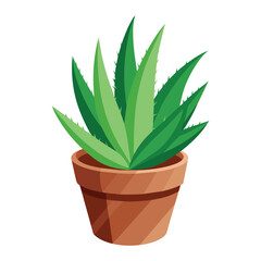 Isolated Aloe in Flowerpot Vector Illustration