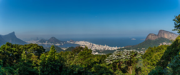 Panoramic View of Rio de Janeiro from a Forested Outlook