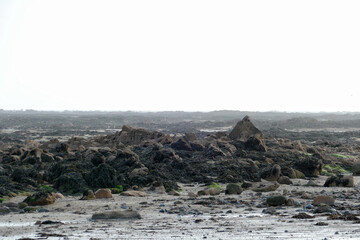Panoramic view of the tidal zone of Jersey
