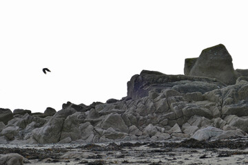 Panoramic view of the tidal zone in Jersey