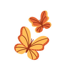 Yellow and red butterflies isolated on white background. Beautiful flying insects