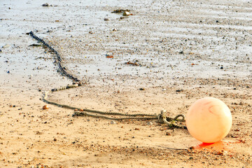 Close-up of buoy in the tidal zone in Jersey