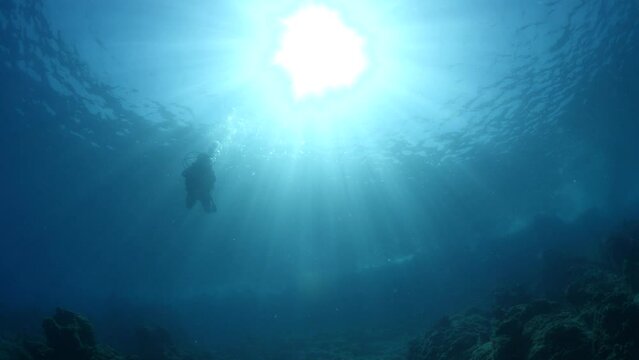 silhouette scuba diver sun beam shine rays underwater  diver relaxing blue ocean scenery of person