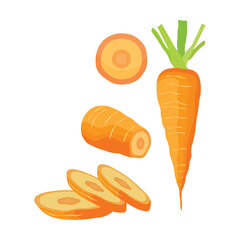 Vector illustration of carrot in cartoon flat style. Root vegetable carrots design for food menu, advertising, etc. Agricultural organic healthy product. Whole and sliced