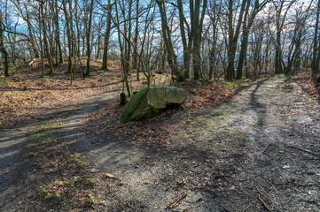 Crossroads of unpaved roads in the forest. Stone in the middle.