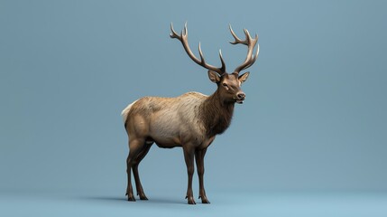 A majestic elk stands tall in the field, its antlers proudly displayed. The elk's coat is a rich brown, and its eyes are a deep, dark brown.