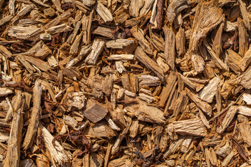Mulch texture background, pieces of wood layer material on the surface of soil
