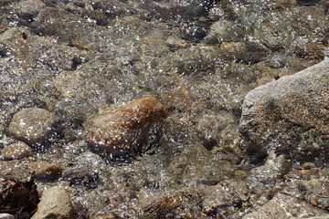 川の流れ・上流