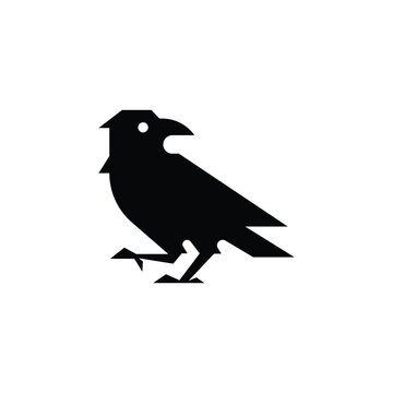 Raven logo icon vector