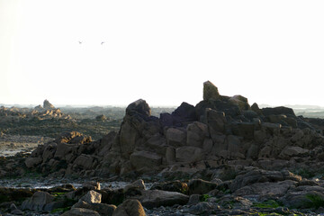 Panoramic view of the tidal zone in La Rocque, Jersey