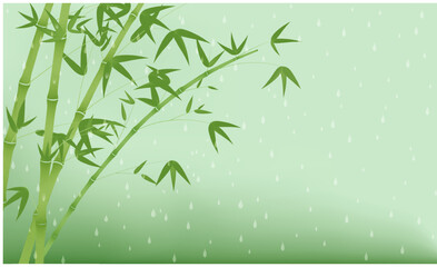 Fototapeta na wymiar Poster background of green bamboo in the rain