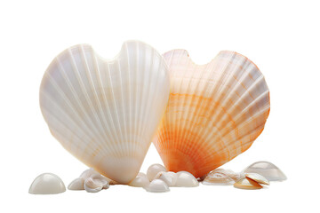 Sea shells stacked in the form of heart isolated on PNG Background. Generative Ai.
