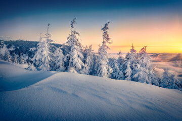 Fantastic winter sunrise in Carpathian mountains with sea of fog in the deep walley. Cold morning scene of fir trees cowered by fresh snow. Beauty of nature concept background.