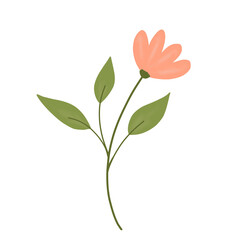 a flower on transparent background with leaves