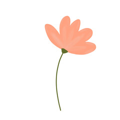 a peach flower without leaves on transparent background