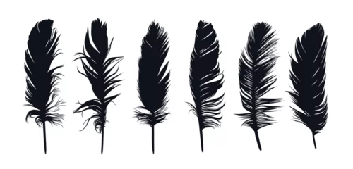 Fotobehang The set of bird feather silhouettes.   © larisska_c