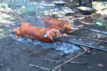 Lechon Baboy, Roasted Pig