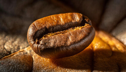 roasted coffee beans with smoke on a dark background close-up