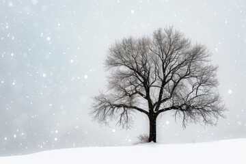 A lone tree stands tall in the middle of a vast snowy field, surrounded by a pristine white landscape, Silhouette of a barren tree against a snowfall, AI Generated